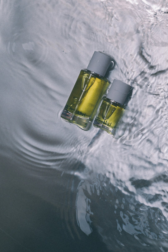 CYAN NORI – Lucentement