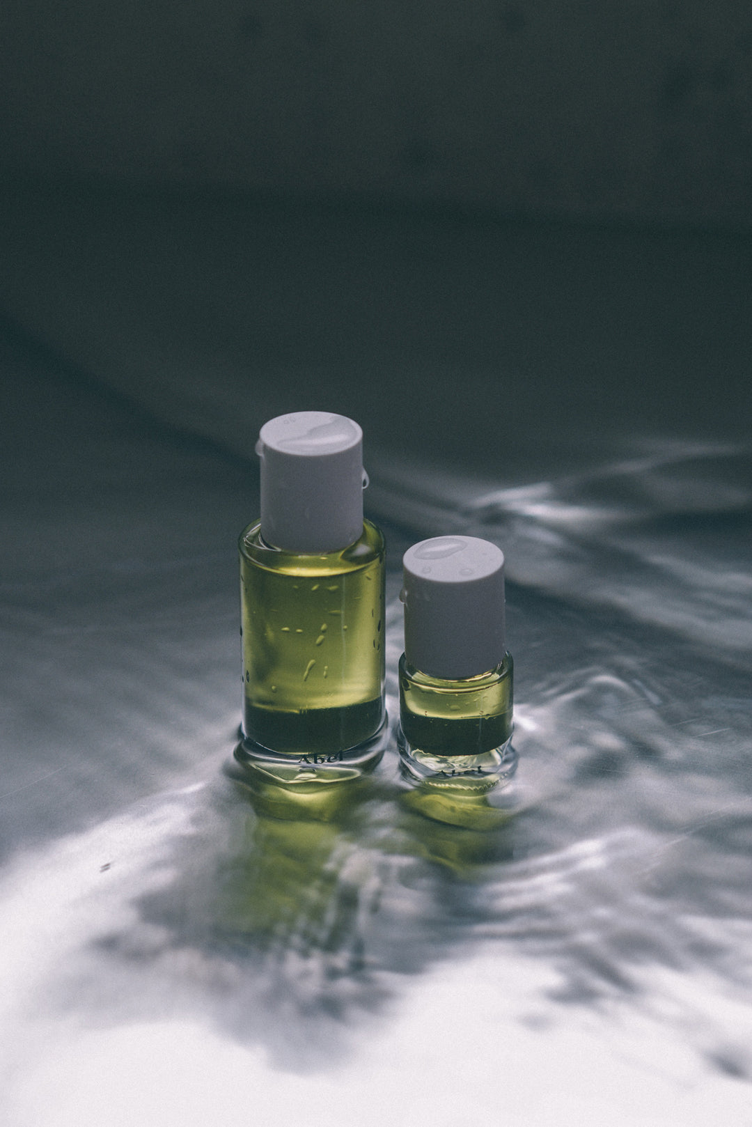 CYAN NORI – Lucentement
